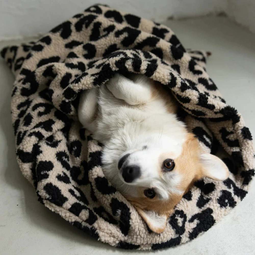 Hund in Kuschelschlafsack Teddy LEO Beige - Lieblingspfote