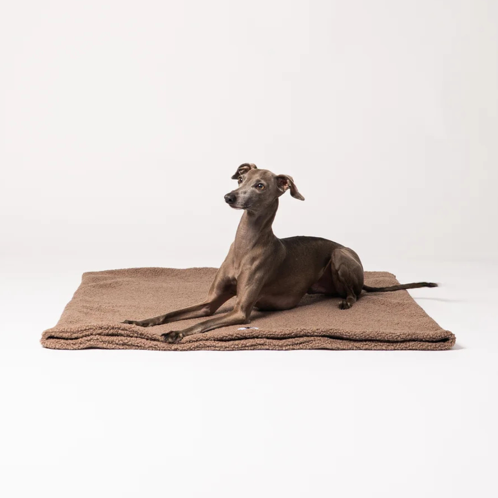 Hund liegend auf Teddy Hundeschlafsack Mokka - KARMA HUND