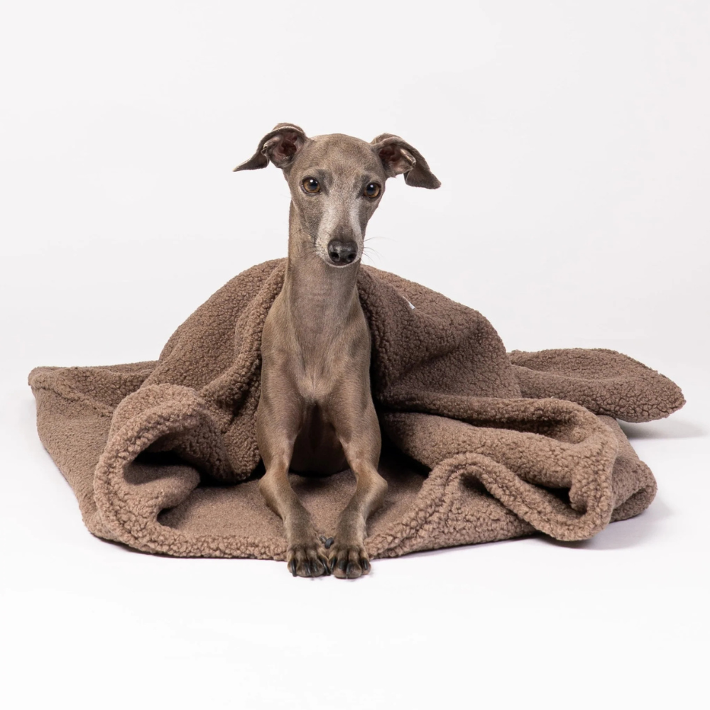 Hund liegend in Teddy Hundeschlafsack Mokka - KARMA HUND