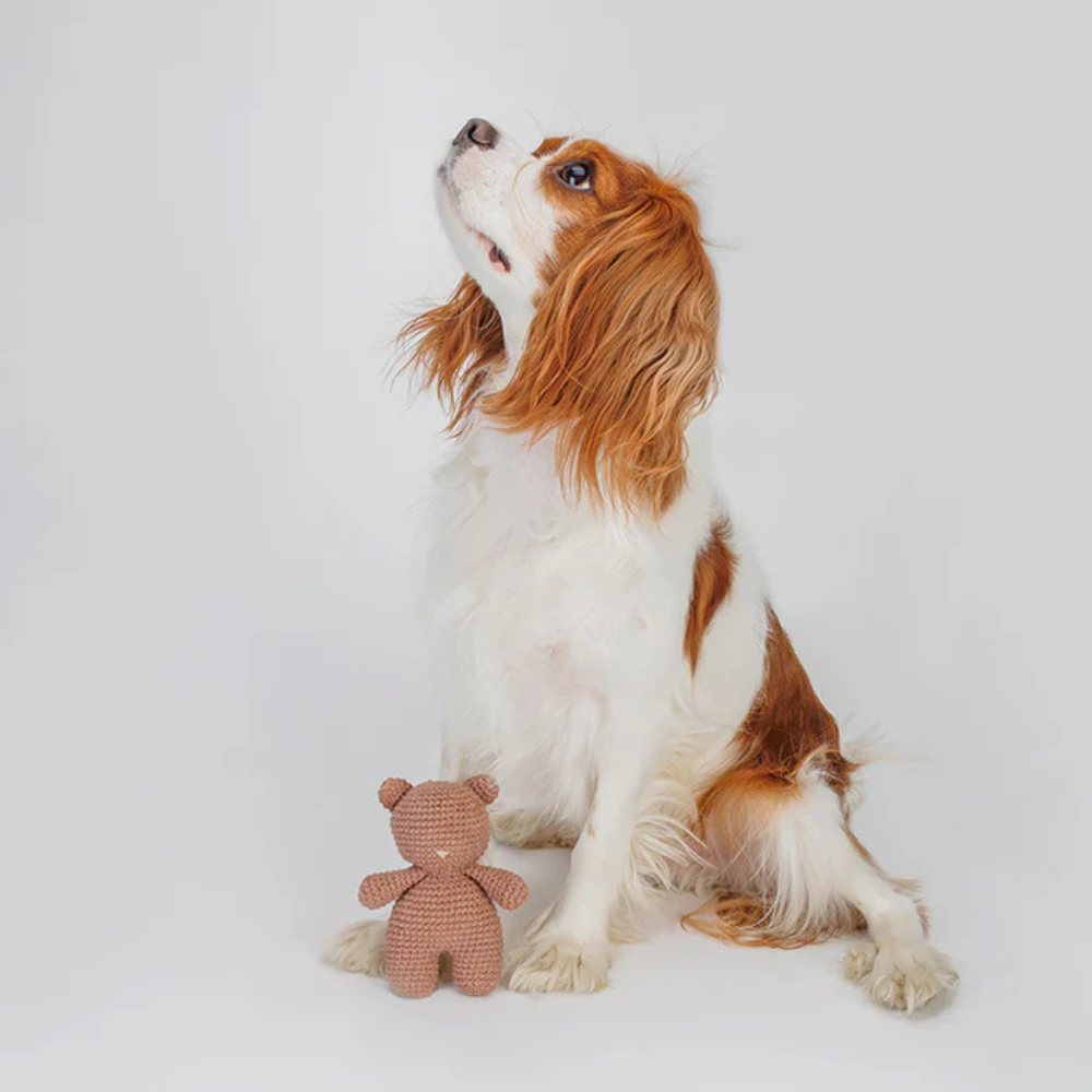 Hund mit Hundespielzeug Bär BRUNO gehäkelt 14 cm - Lillabel