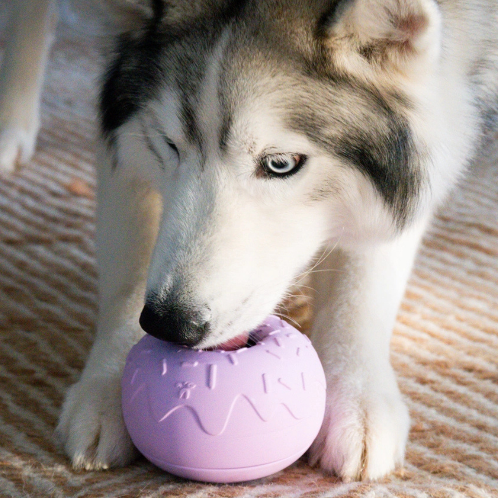 Hund mit Beschäftigungsspielzeug - Yoomy Donut Lavendel - INOOKO