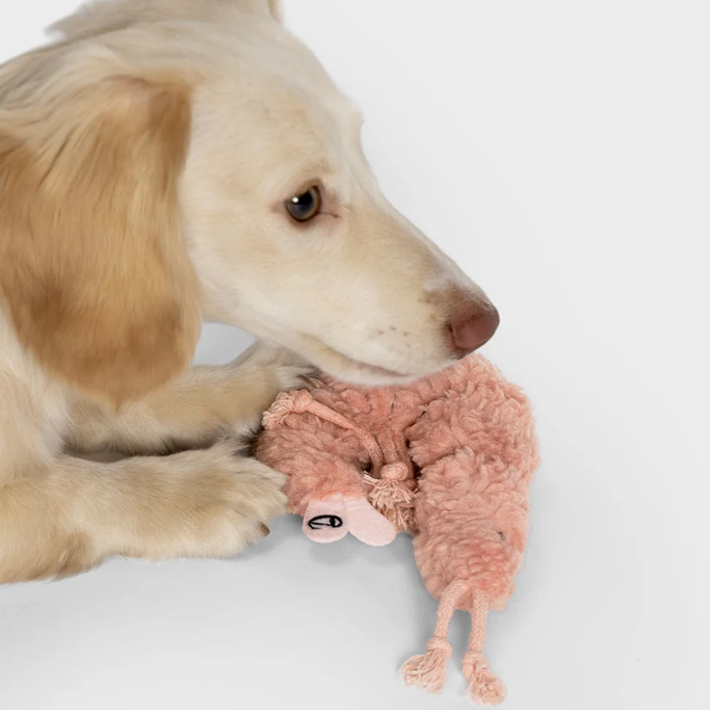 Hund mit Cloud7 LTTL Hundespielzeug Shrimp Susi