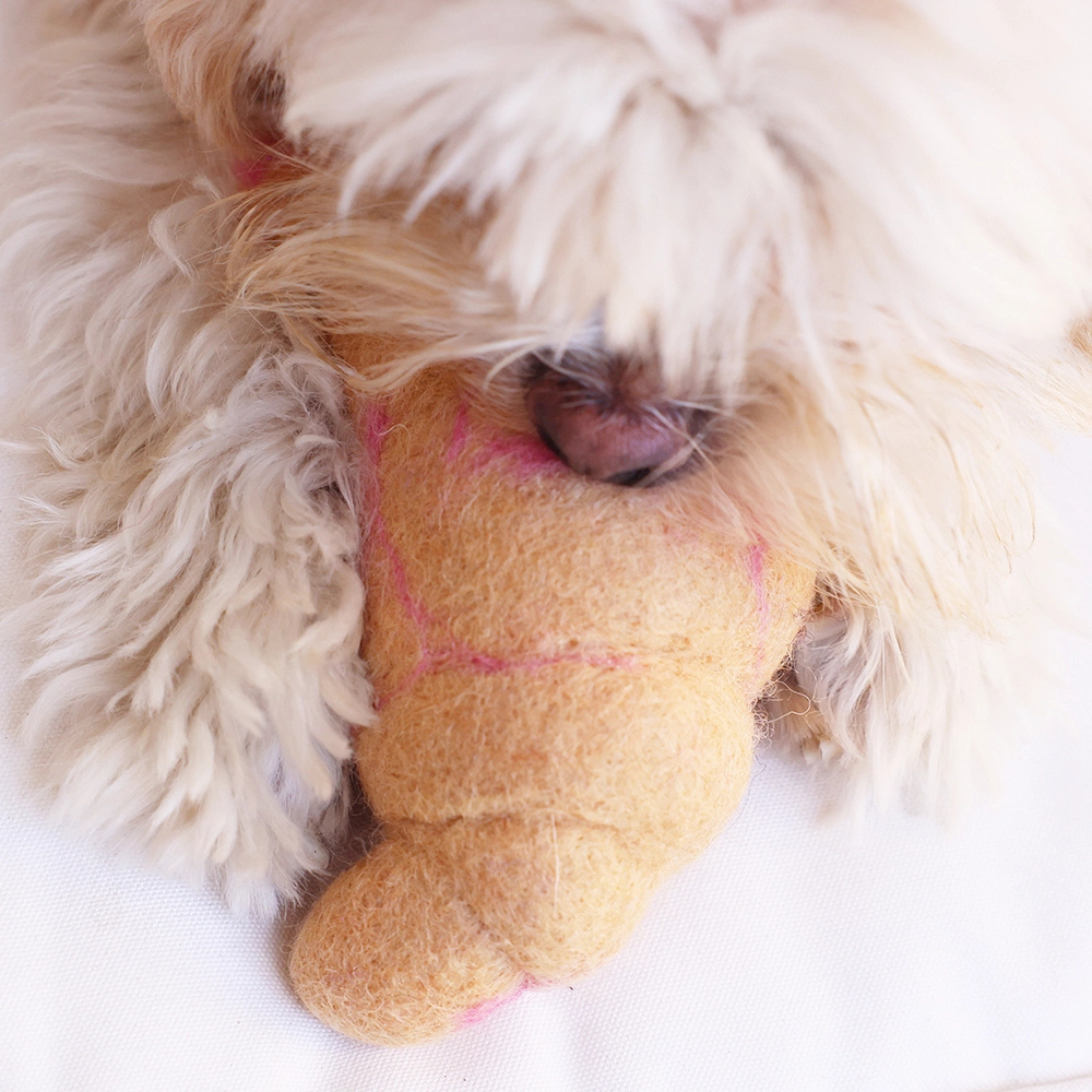 Hund mit Croissant aus 100% Wollfilz - MODERNBEAST