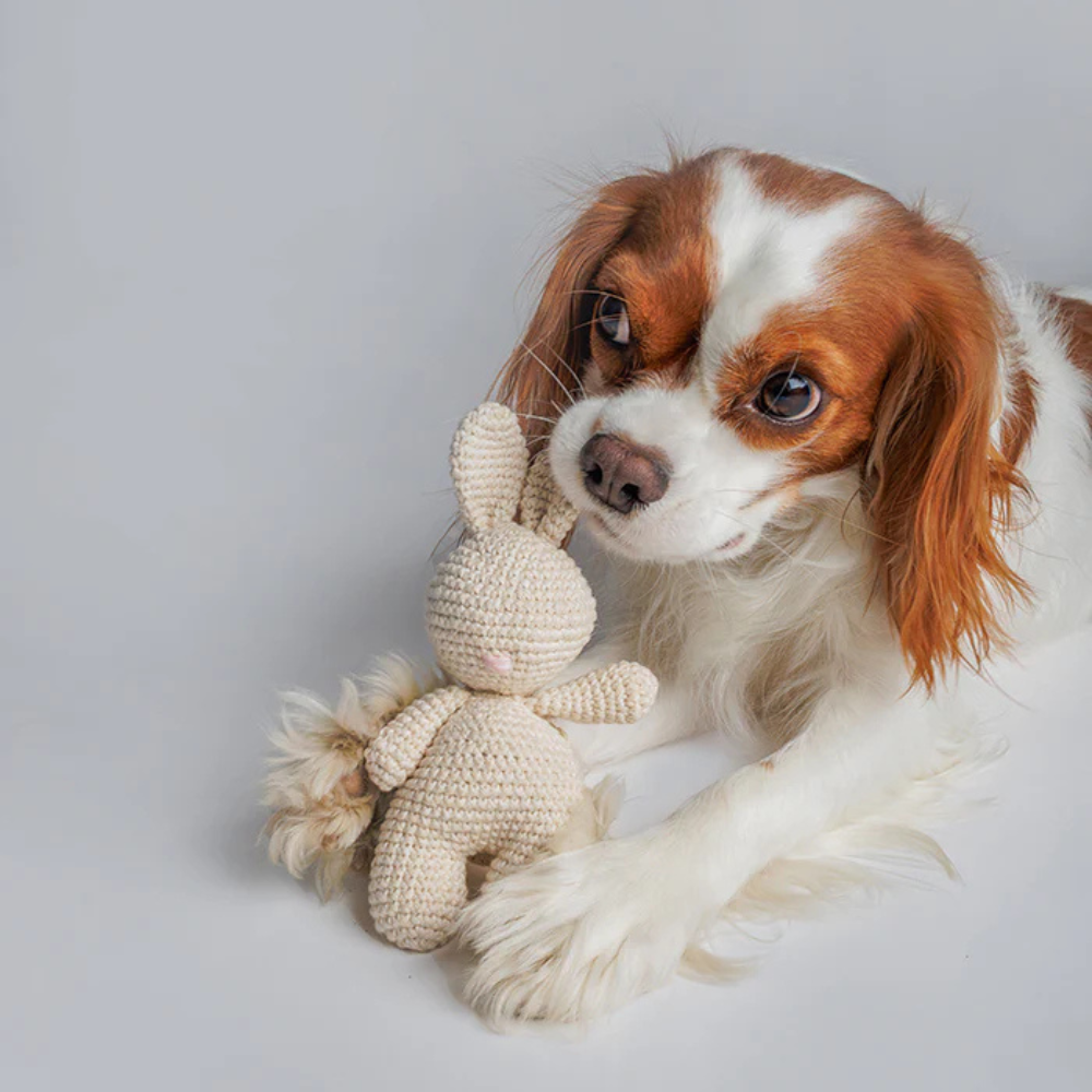 Hund mit Hundespielzeug Häschen ROSIE gehäkelt 14 cm - Lillabel