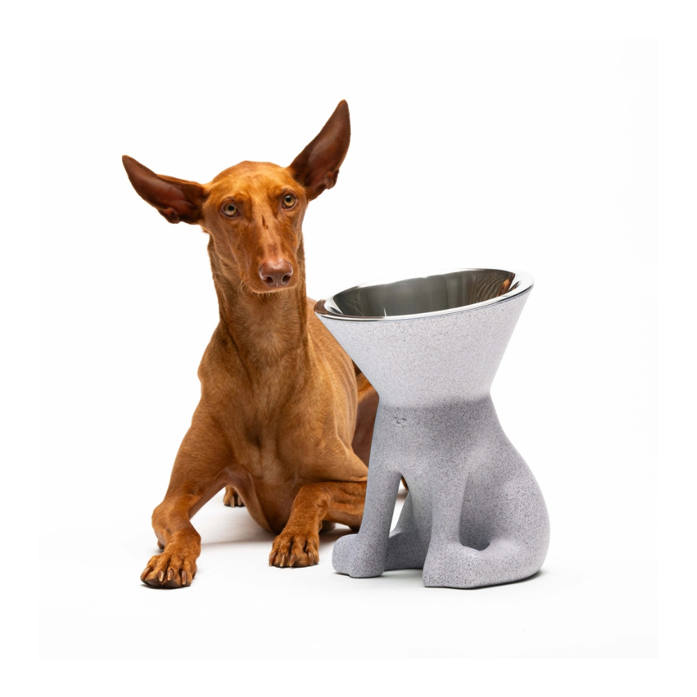 Hund mit Designernapf ELIZABETH Granit Optik- United Pets