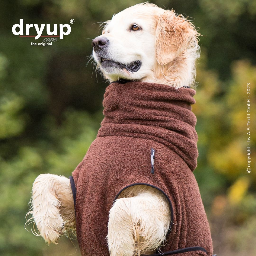 Hund mit Hundebademantel DRYUP Cape Brown - actionfactory