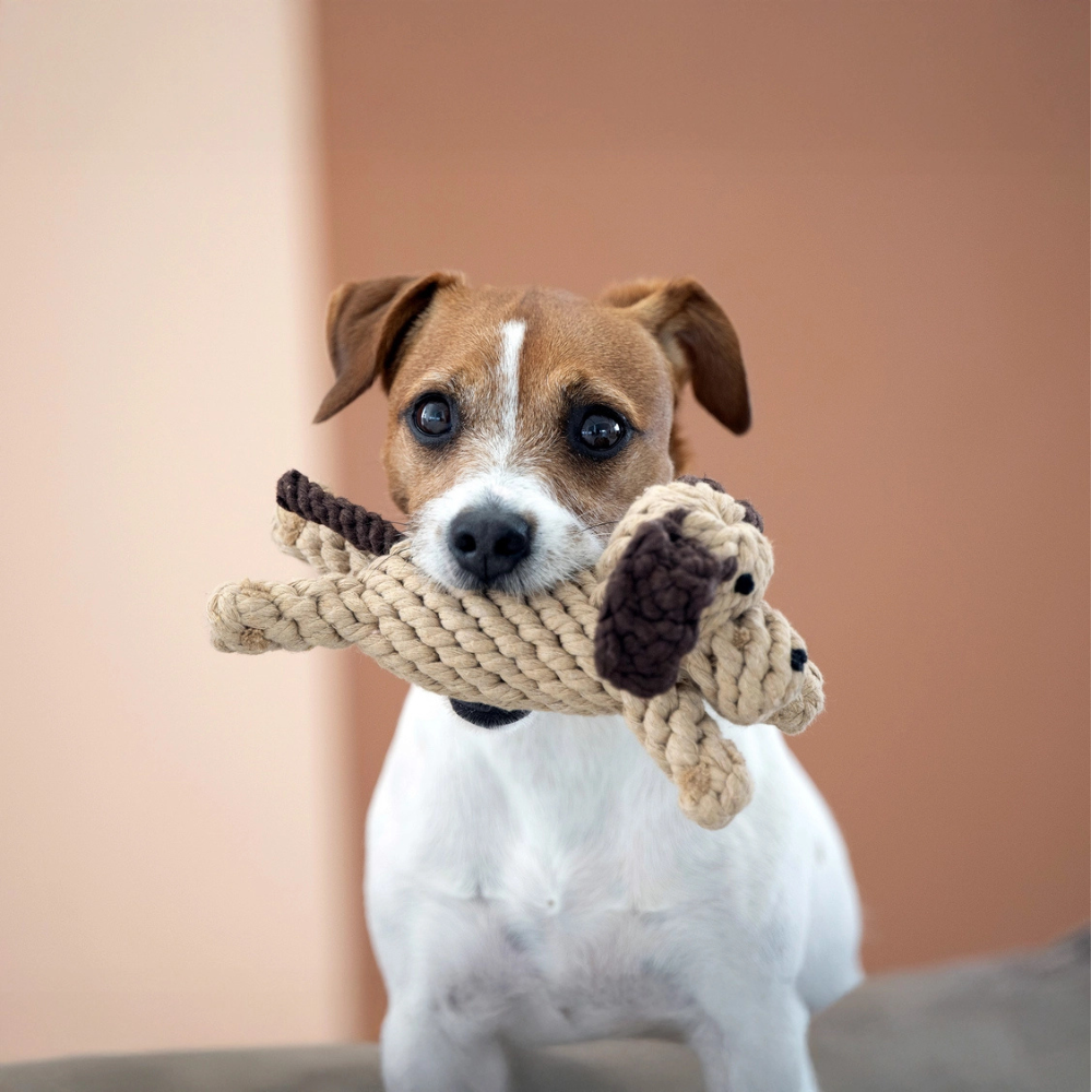 Hund mit Hundekauspielzeug DOGGY DOG JR. - LABONI