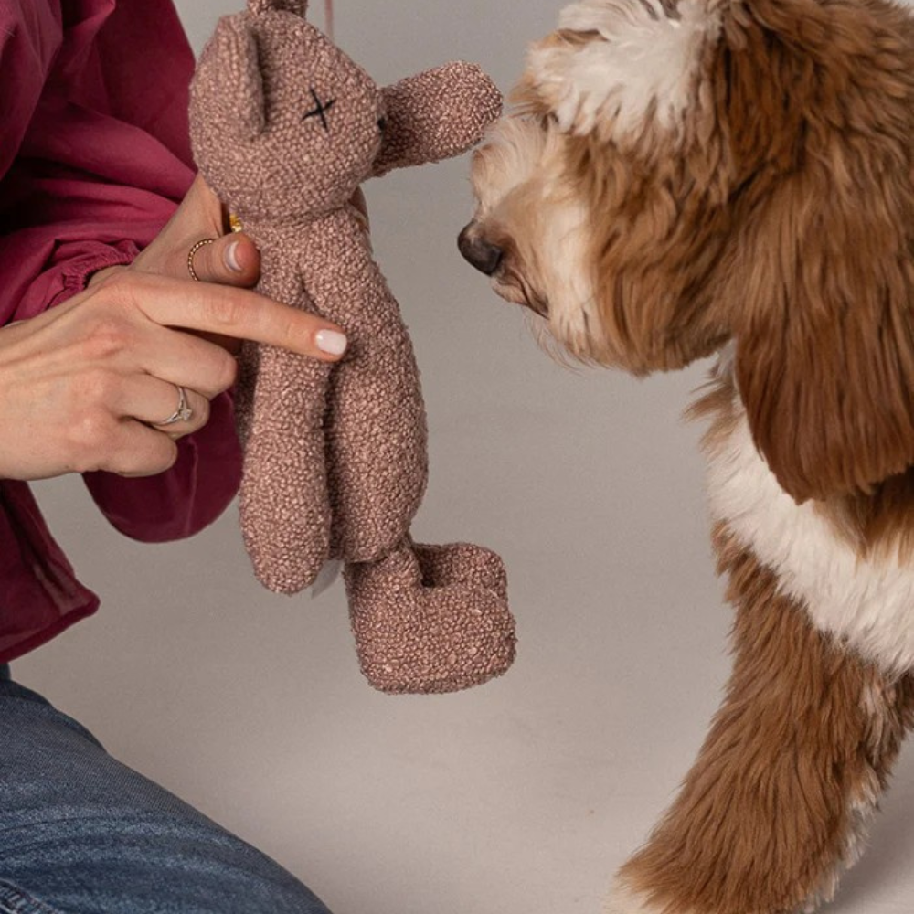 Hund mit Hundespielzeug BERTY The Bear Limited Valentine's Edition - Lillabel