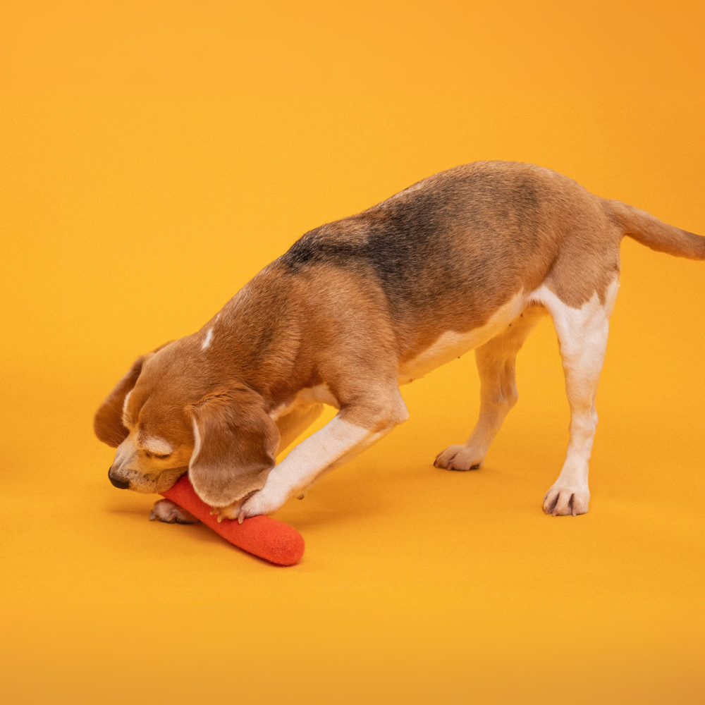 Hund mit Hundespielzeug Filzstock Mats - myfelt®
