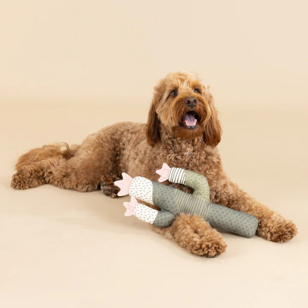 Hund mit Hundespielzeug I can be a bit prickly XL | Earth Friendly - PetShop by Fringe Studio