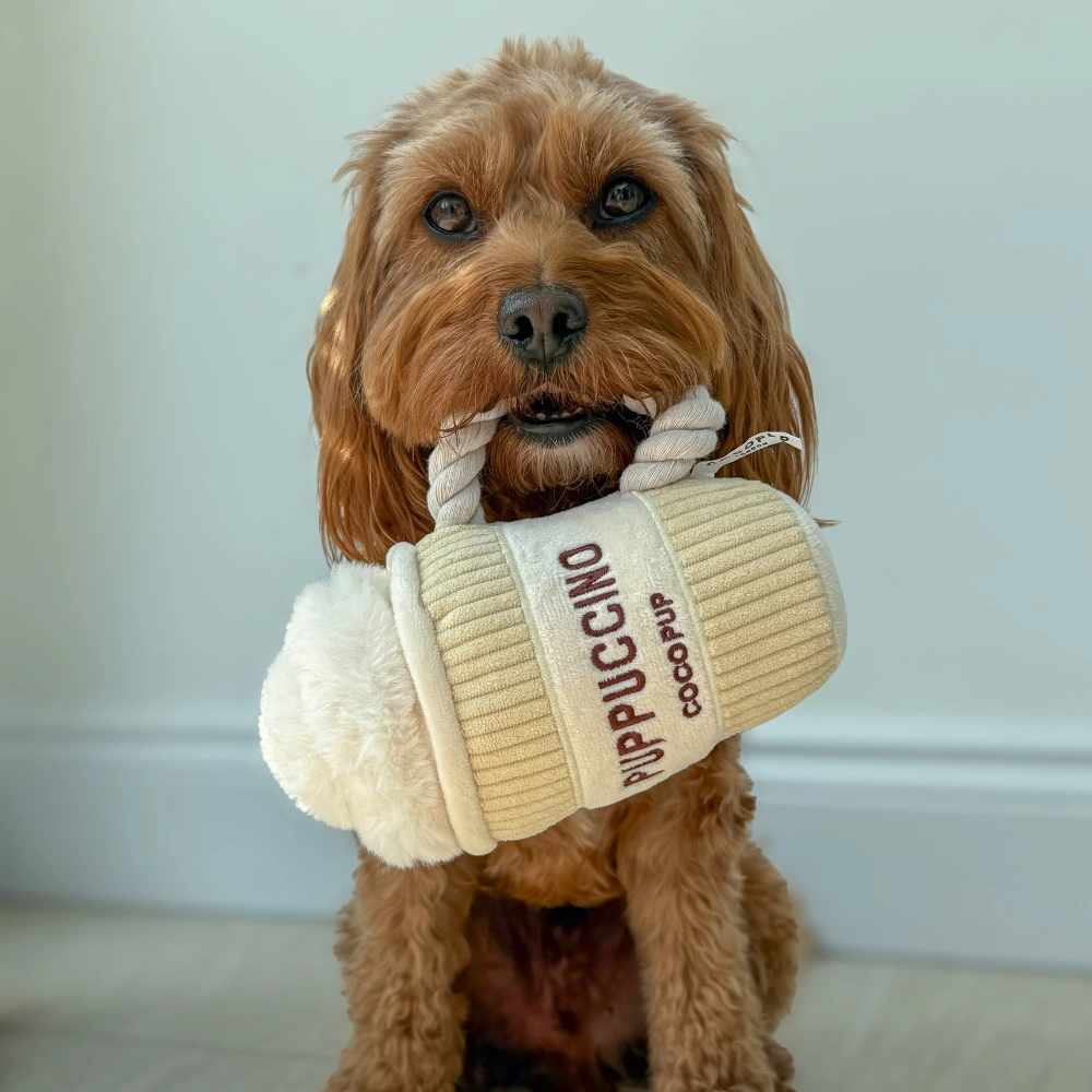 Hund mit Hundespielzeug Puppuccino - Cocopup London
