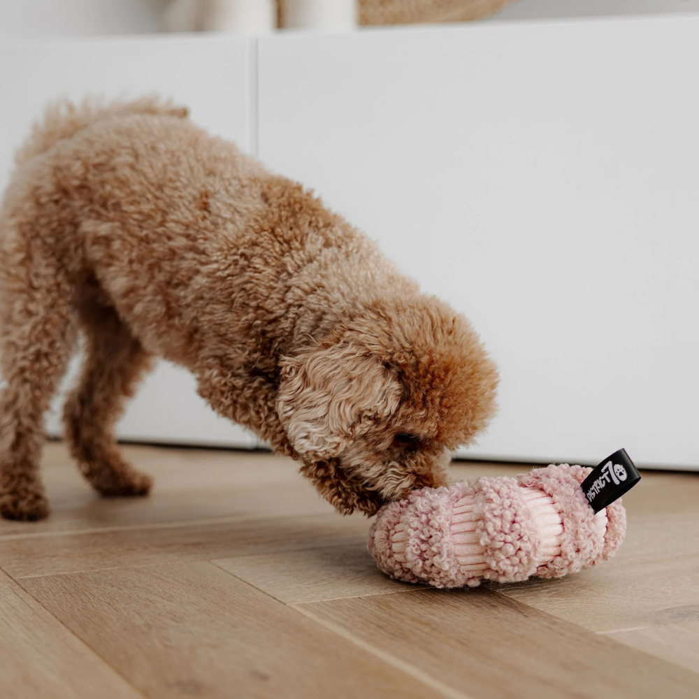 Hund mit Hundespielzeug Schnüffelring DAISY Rosa - district 70