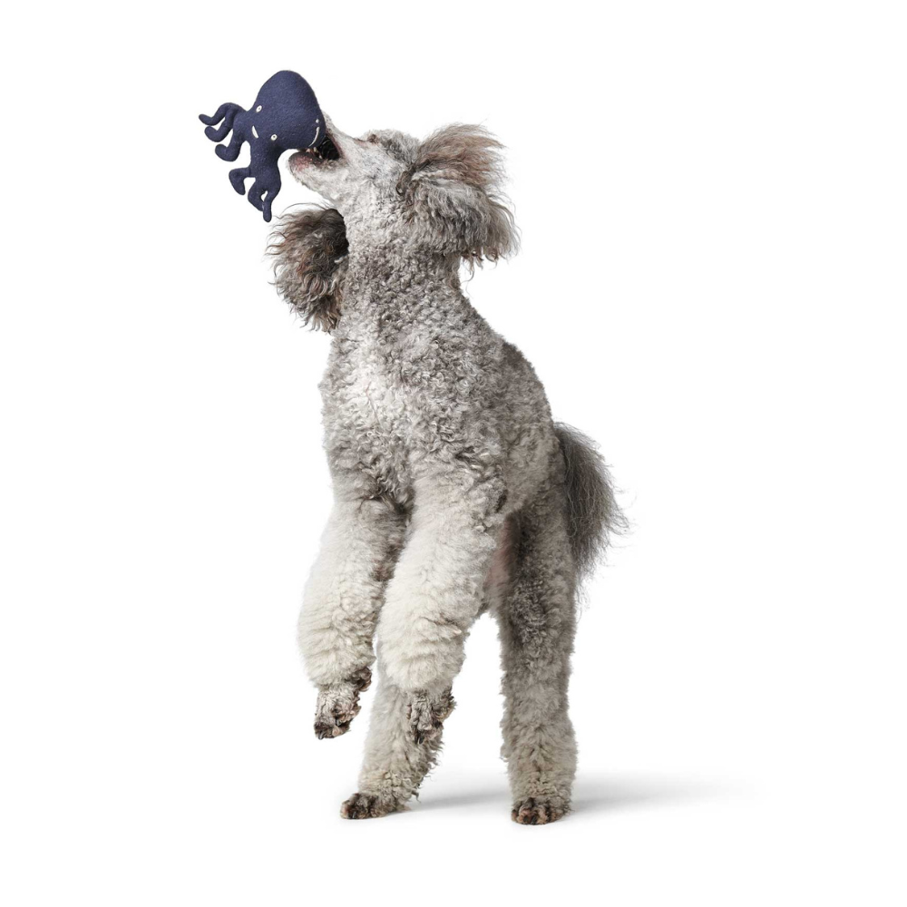Hund mit Hundespielzeug Skagen Tintenfisch 21 cm upgecycelt blau - Hunter