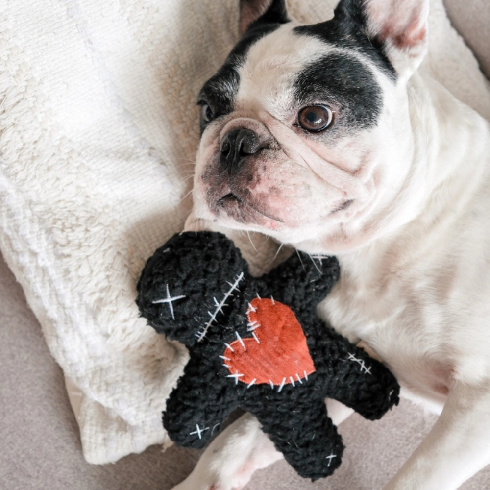 Hund mit Hundespielzeug VOODOO limited edition - Lambwolf Collective