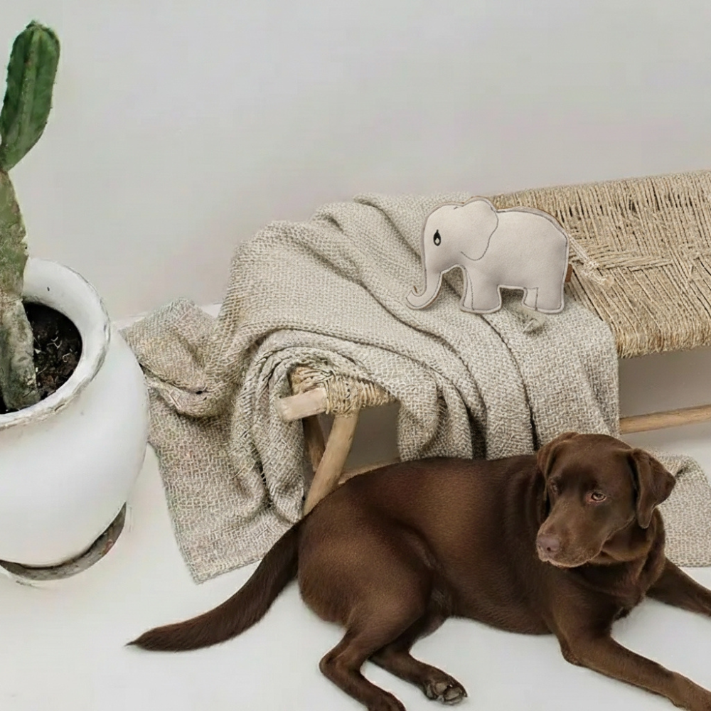Hund mit Hundespielzeug aus Wildleder "Elefant" - BUDDY