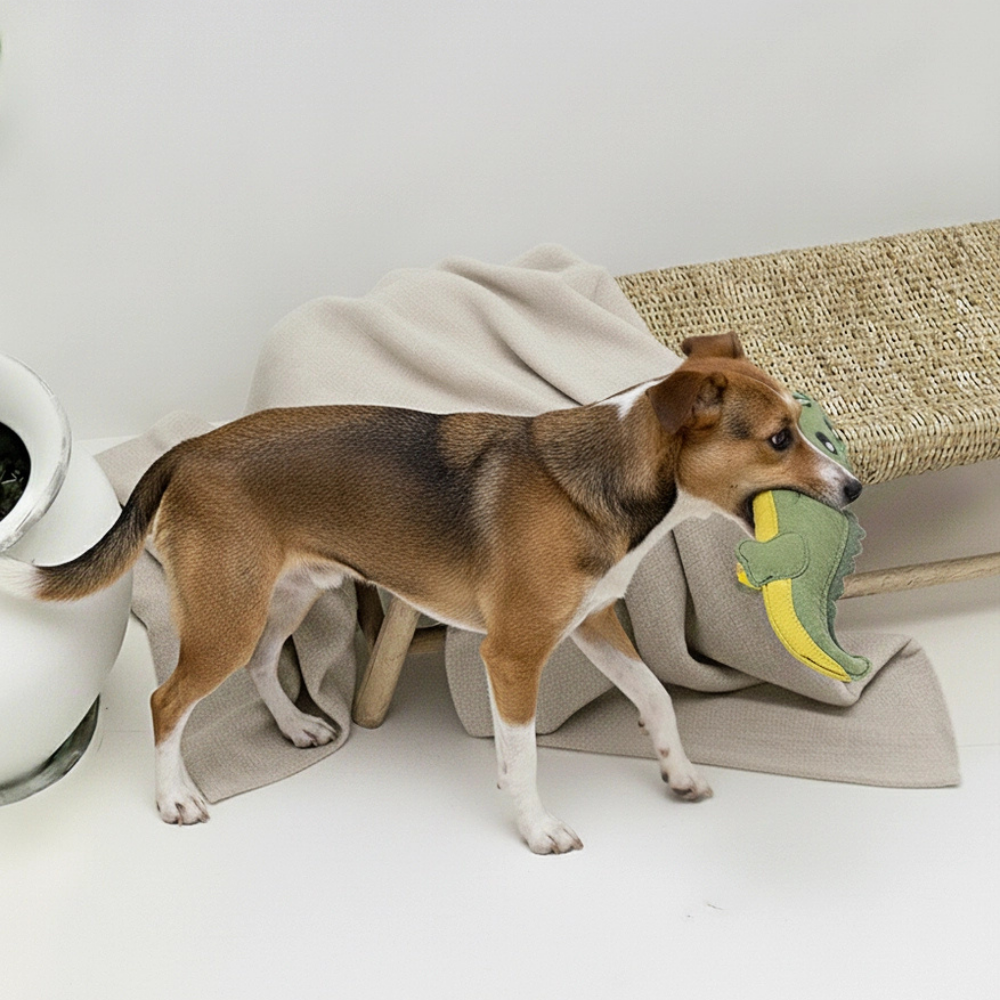 Hund mit Hundespielzeug aus Wildleder "Krokodil" groß - BUDDY.