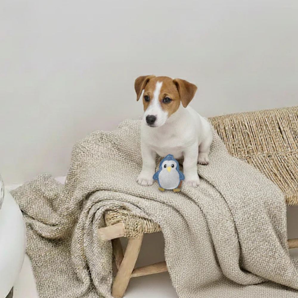 Hund mit Hundespielzeug aus Wildleder "Pinguin" - BUDDY