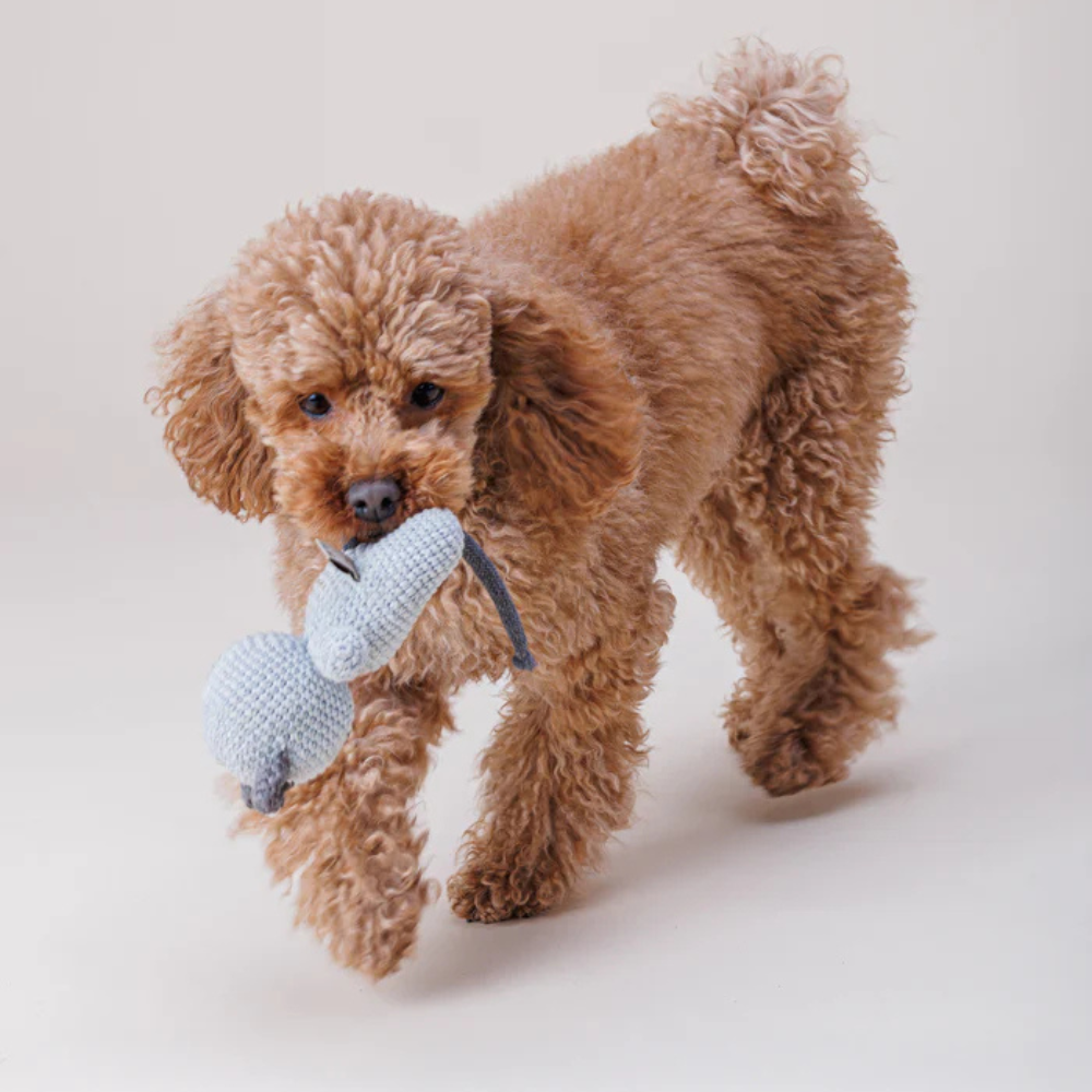 Hund mit Hundespielzeug Katze CHARLIE gehäkelt 14 cm - Lillabel