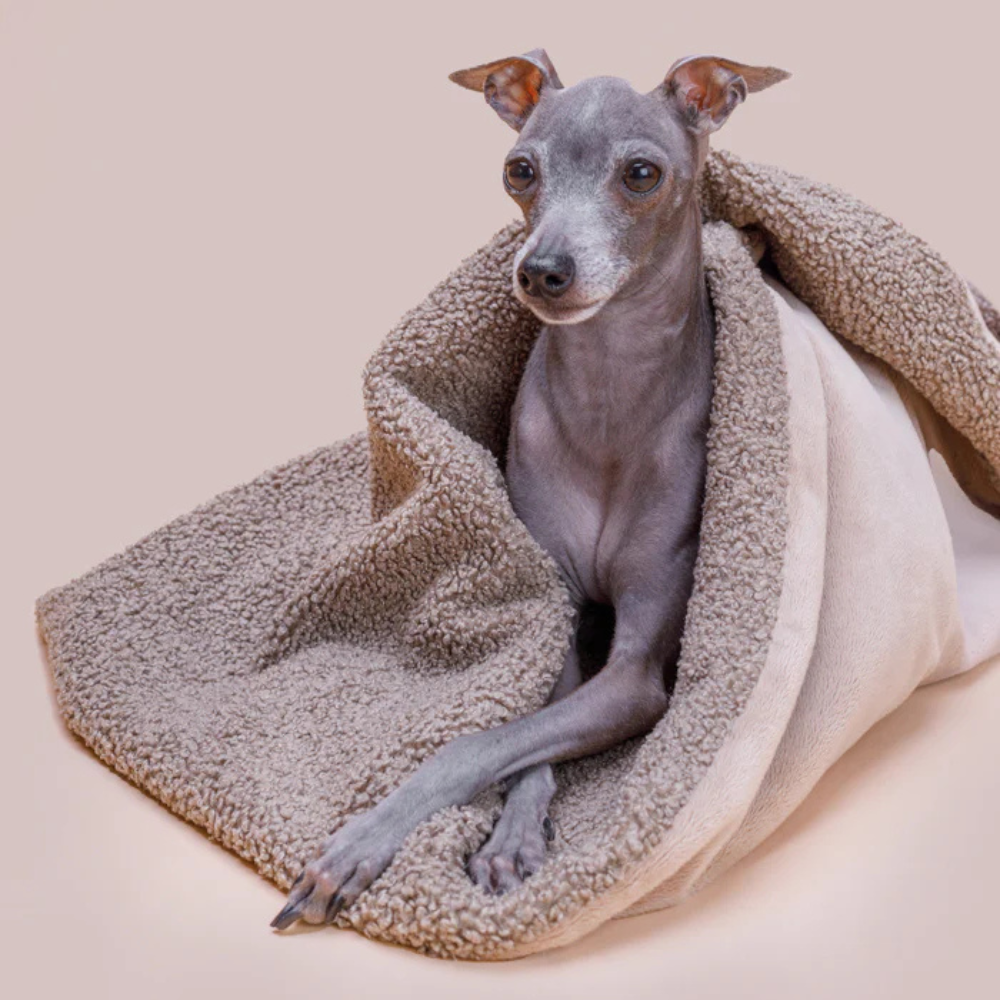 Hund mit Kuscheldecke TEDDY CALM ECO Bouclé Taupe - Lillabel
