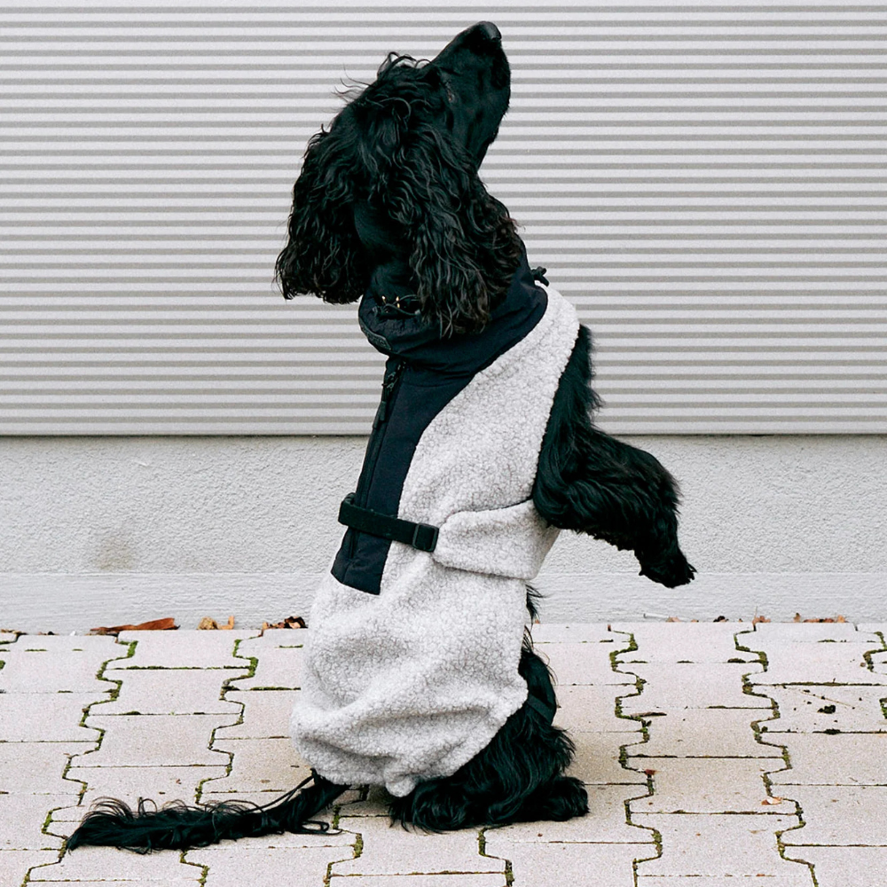 Hund mit MiaCara Hundemantel Emilia grau