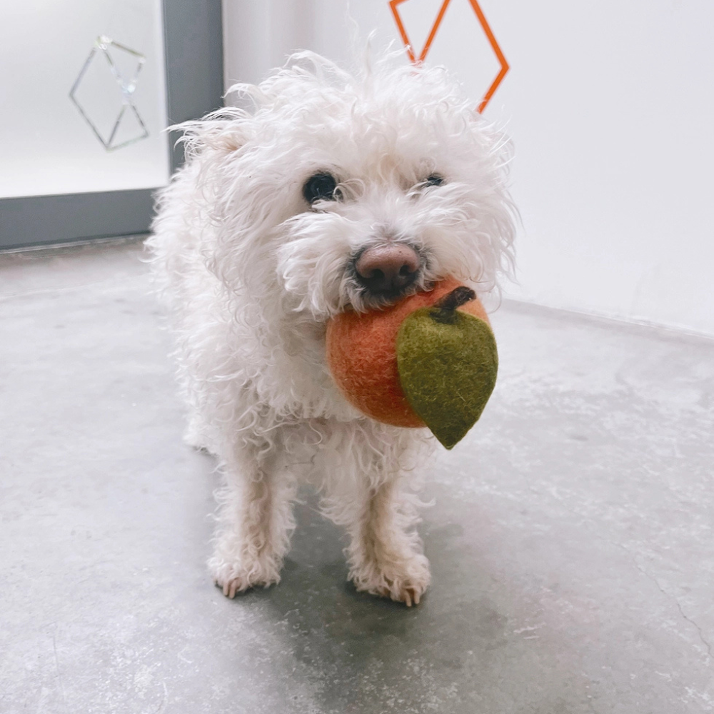 Hund mit Pfirsich aus 100% Wollfilz - MODERNBEAST