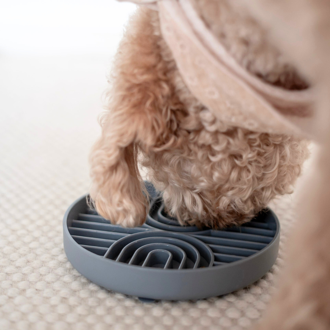 Hund mit Slow Feeder Bowl Grey 1 - LOVINDOG