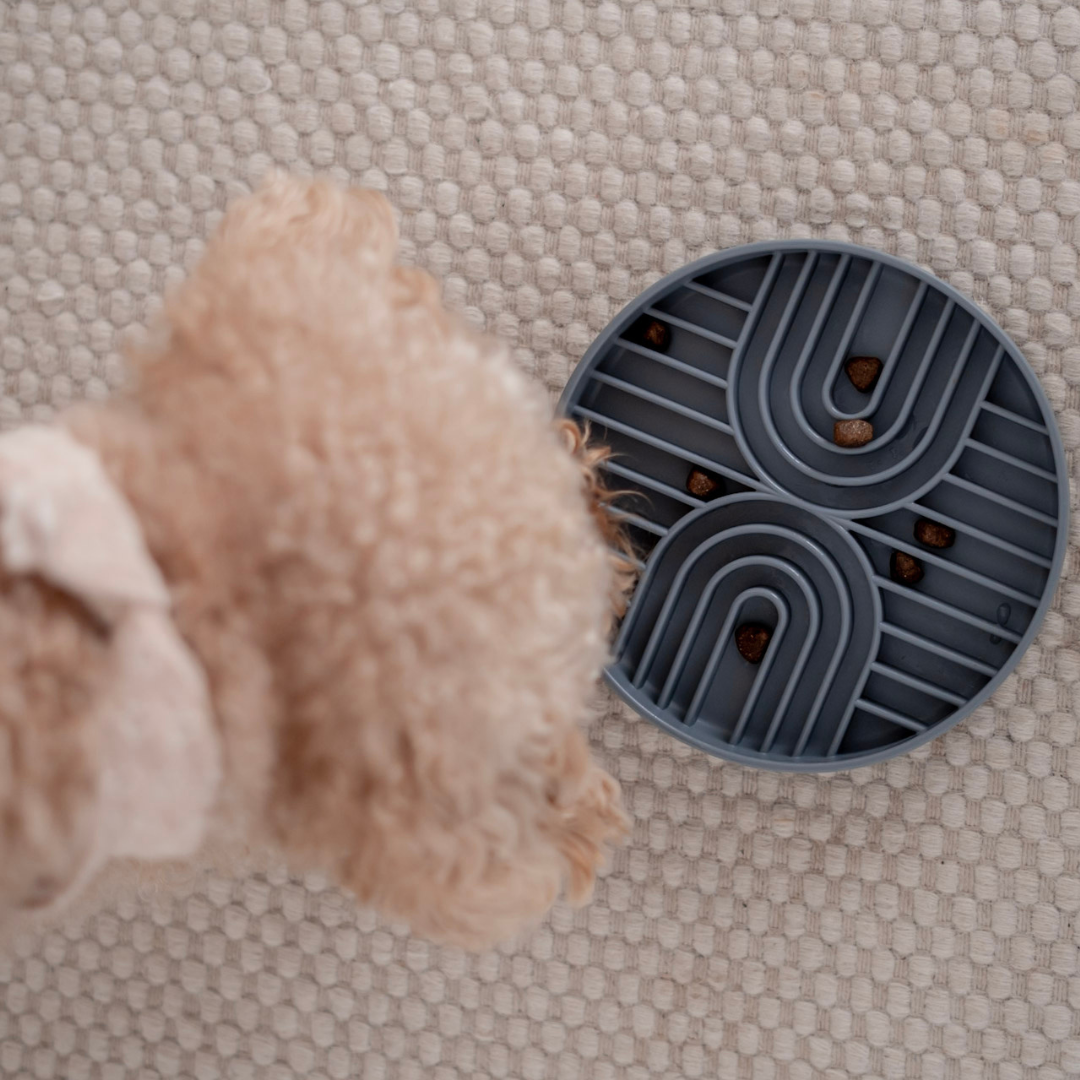 Hund mit Slow Feeder Bowl Grey 3 - LOVINDOG