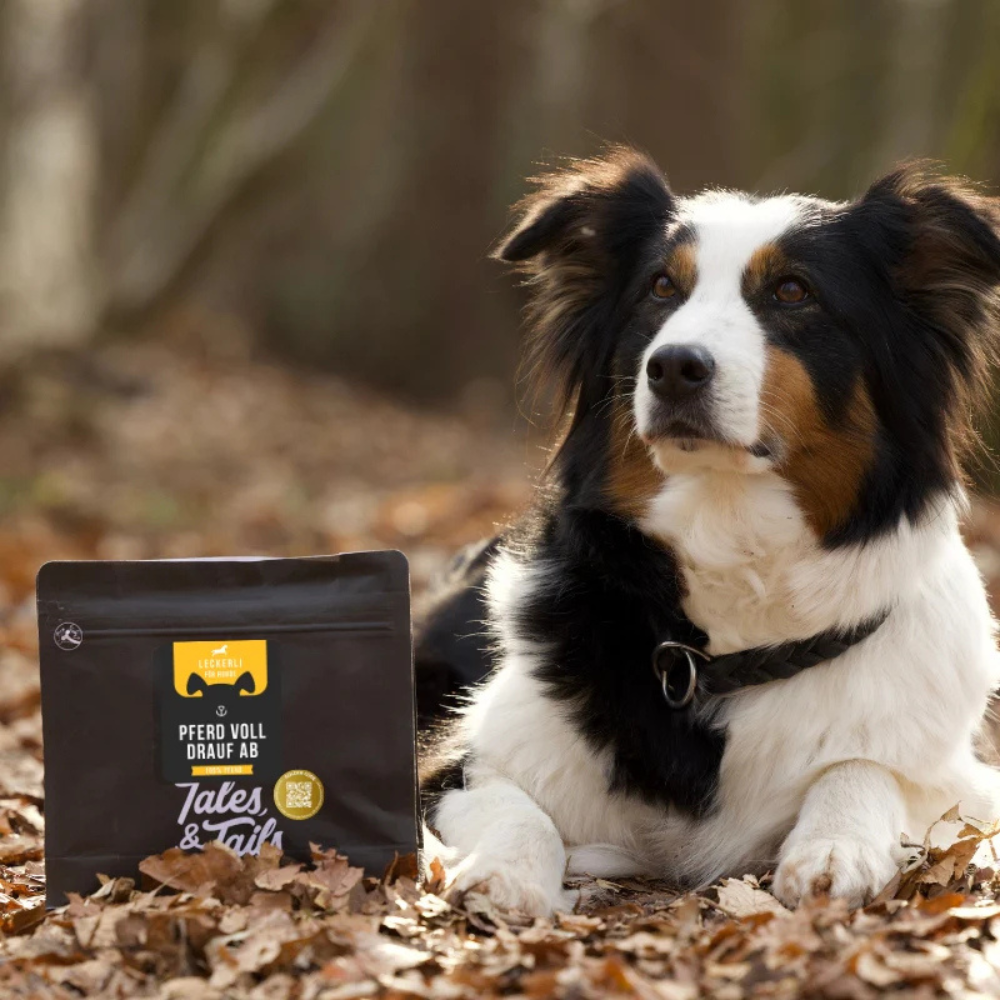 Hund mit Trainingsleckerli - Pferd voll drauf ab (100% Pferd) - Tales & Tails
