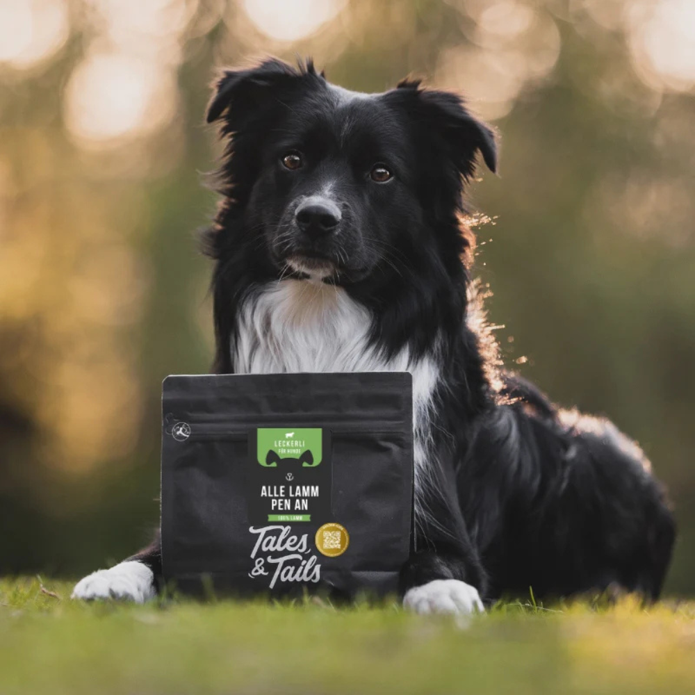 Hund mit Trainingsleckerli - alle LammPen an (100% Lamm) - Tales & Tails
