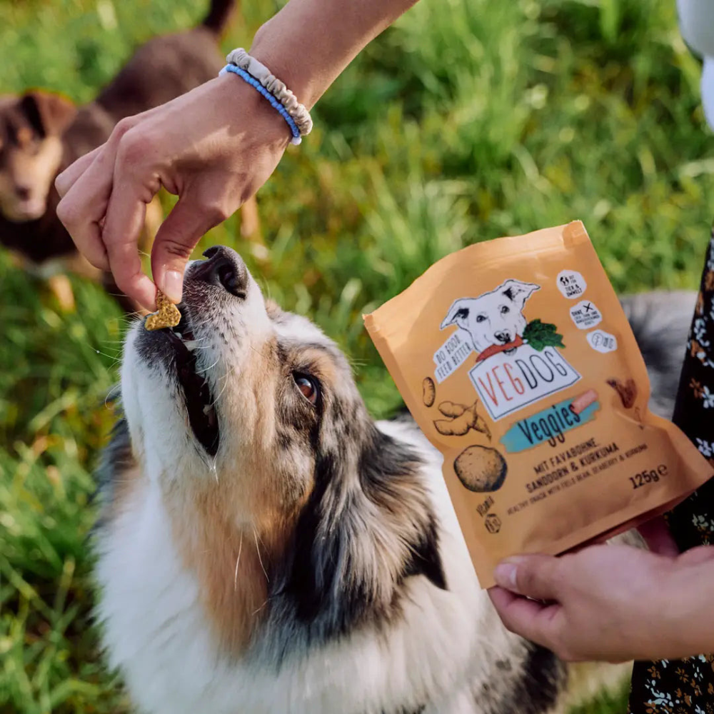 Hund mit Trainingssnack VEGGIES Immune - VEGDOG