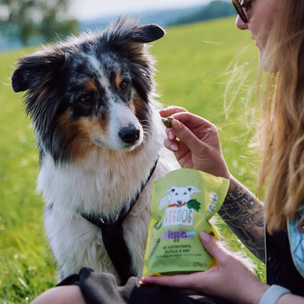 Hund mit Trainingssnack VEGGIES skincare - VEGDOG