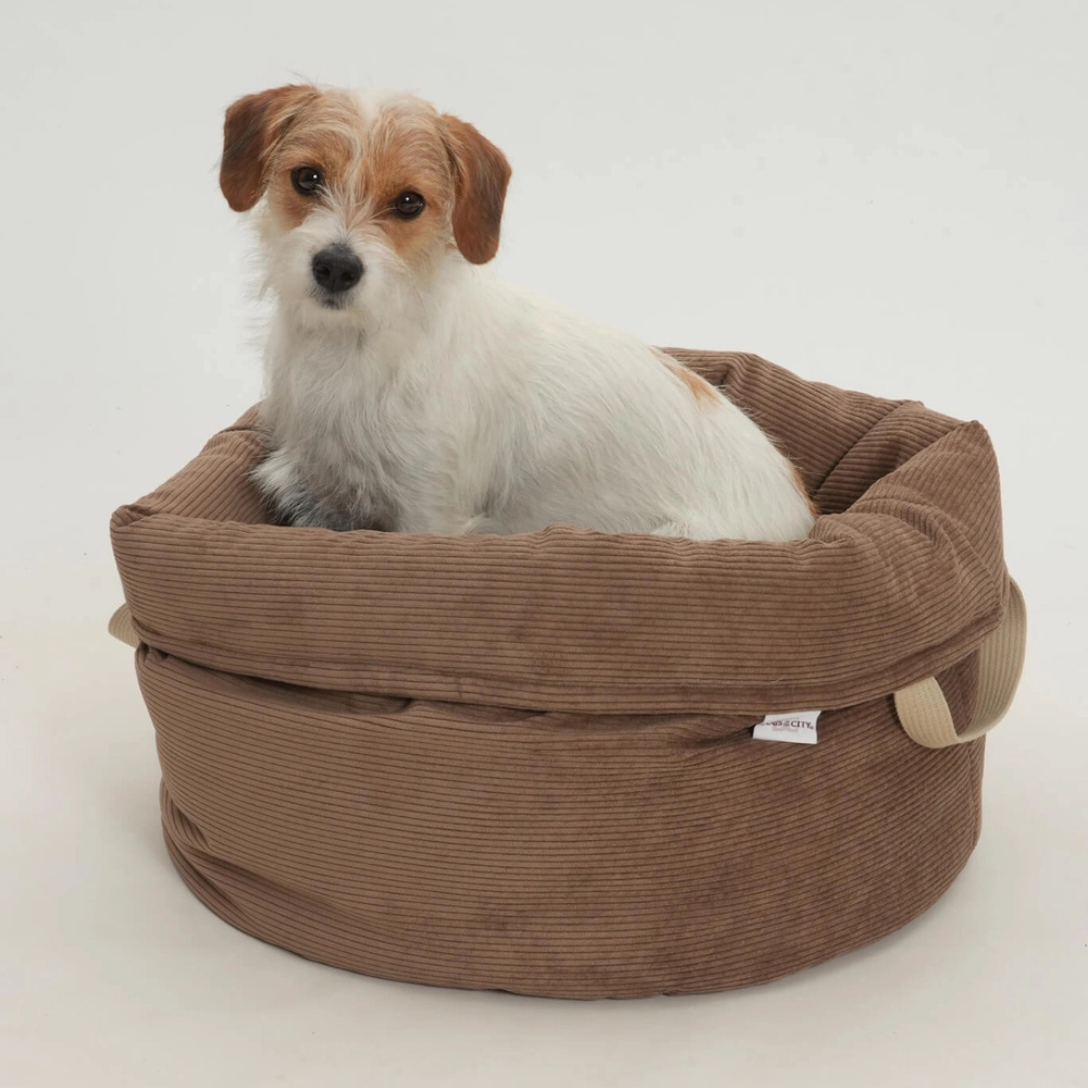 Hund sitzend in Hundebett Körbchen CHELSEA Cord Toffee - Dogs in the City