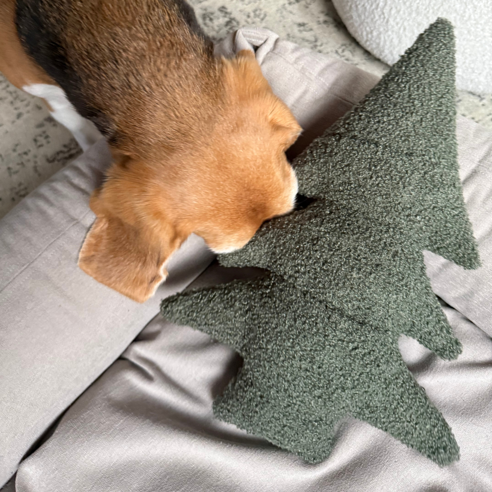 Hund von oben mit Schnüffelspielzeug XMAS Tree - lillabel