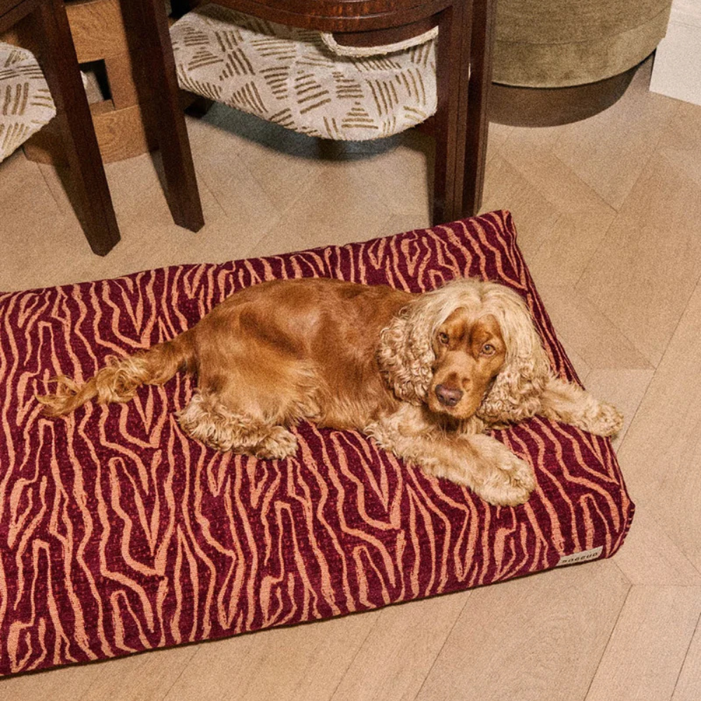 Hund auf Ethnic Hundekissen Peach/Bordeaux - DOGGUO