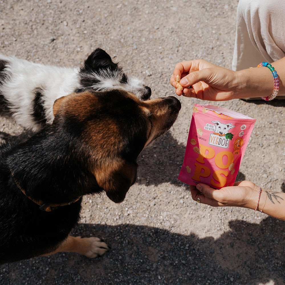 Hund mit Hundesnack Pops Hundepopcorn - VEGDOG