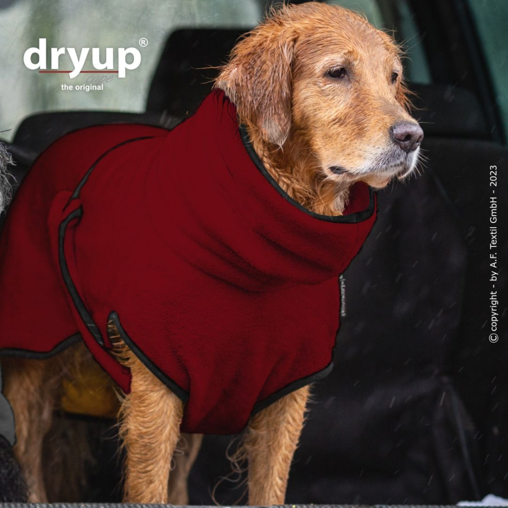 Hundebademantel DRYUP Cape BORDEAUX - actionfactory
