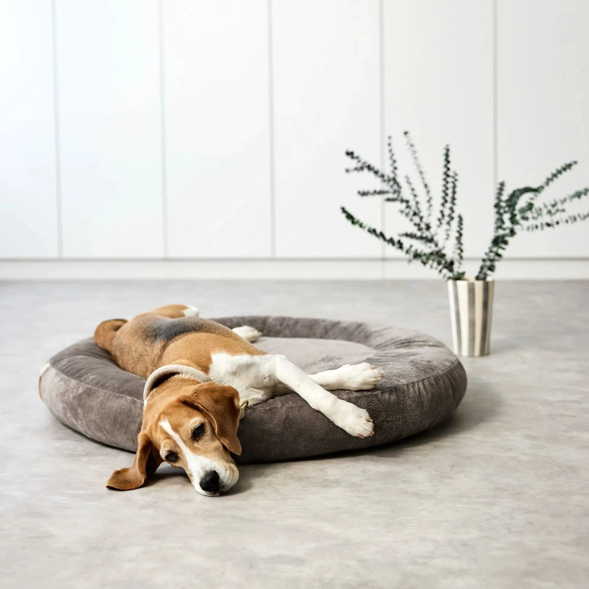 PALOPA Dog Bed Donut Fippa Taupe