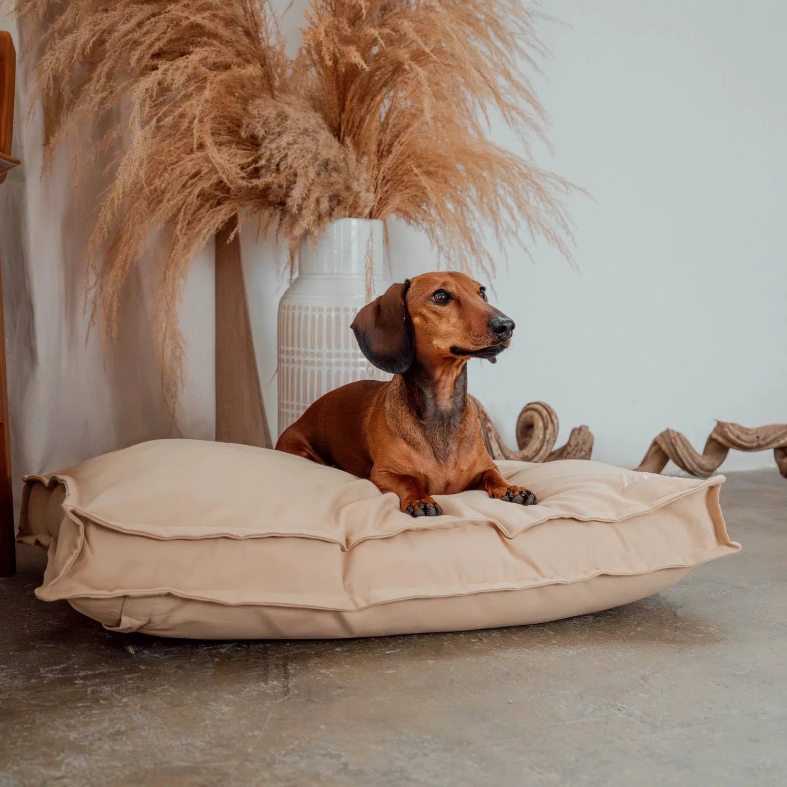 Hundekissen WILMA in Sand mit Schaf-Wolle gefüllt