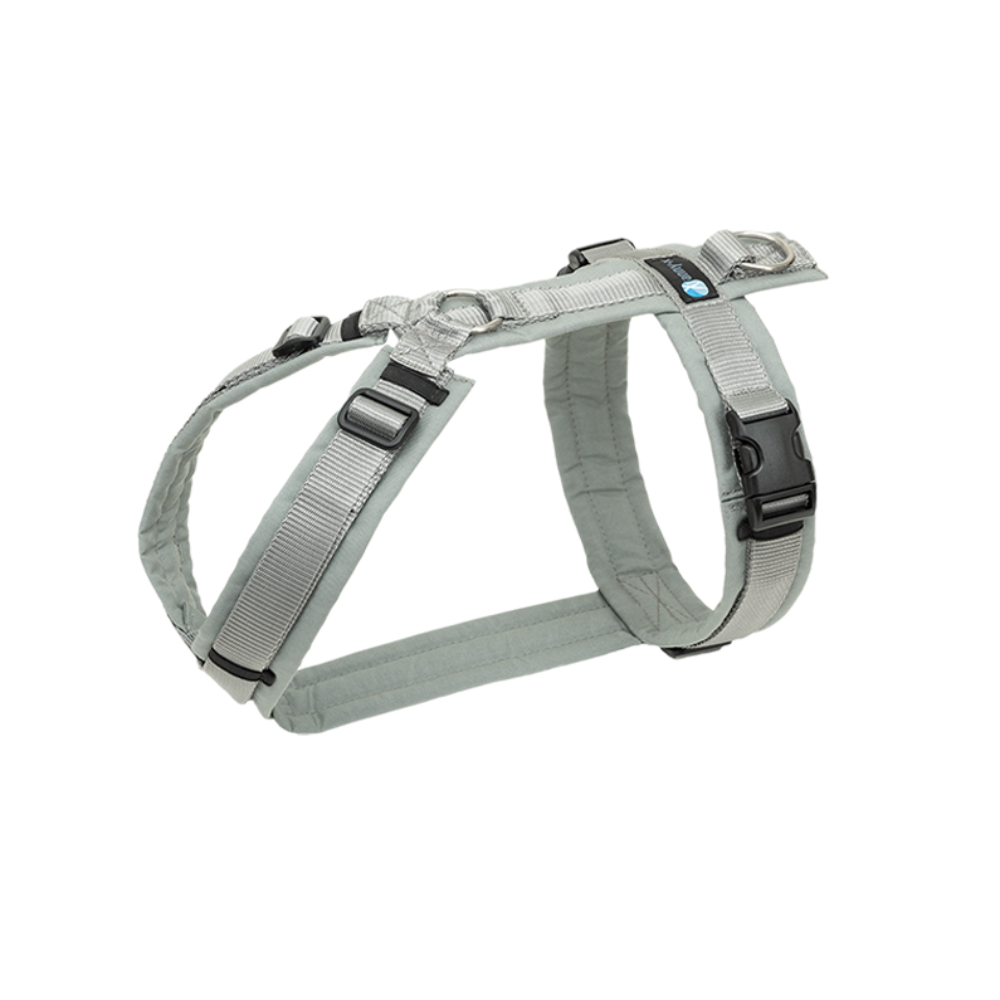 Hundegeschirr FUN Grau-Silber - annyx