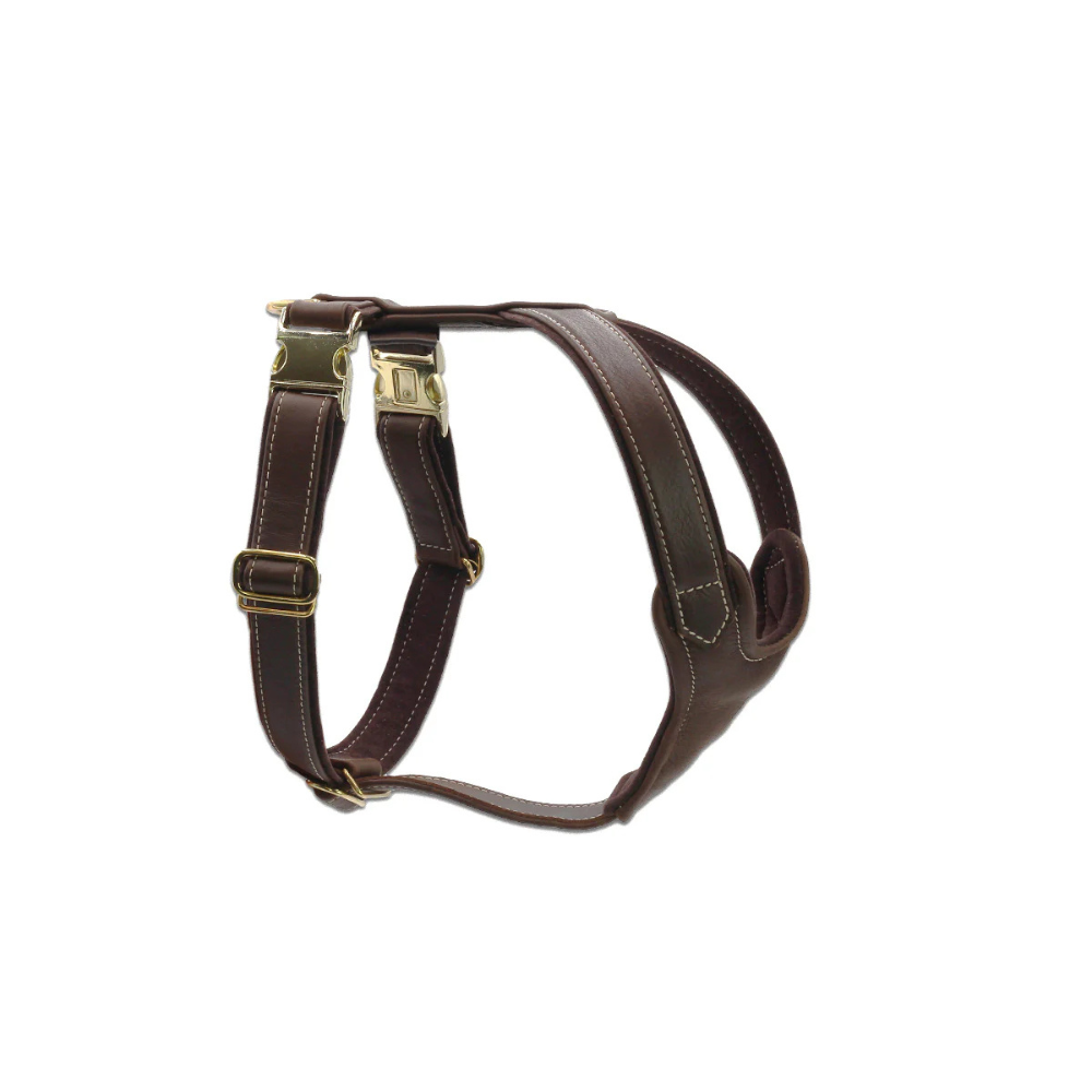 Hundegeschirr Leder Old English Gold - MAUL Ledermanufaktur