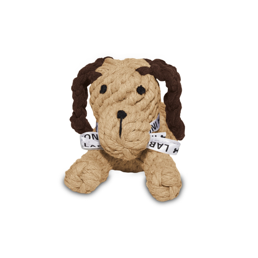 Hundekauspielzeug DOGGY DOG von vorne - LABONI