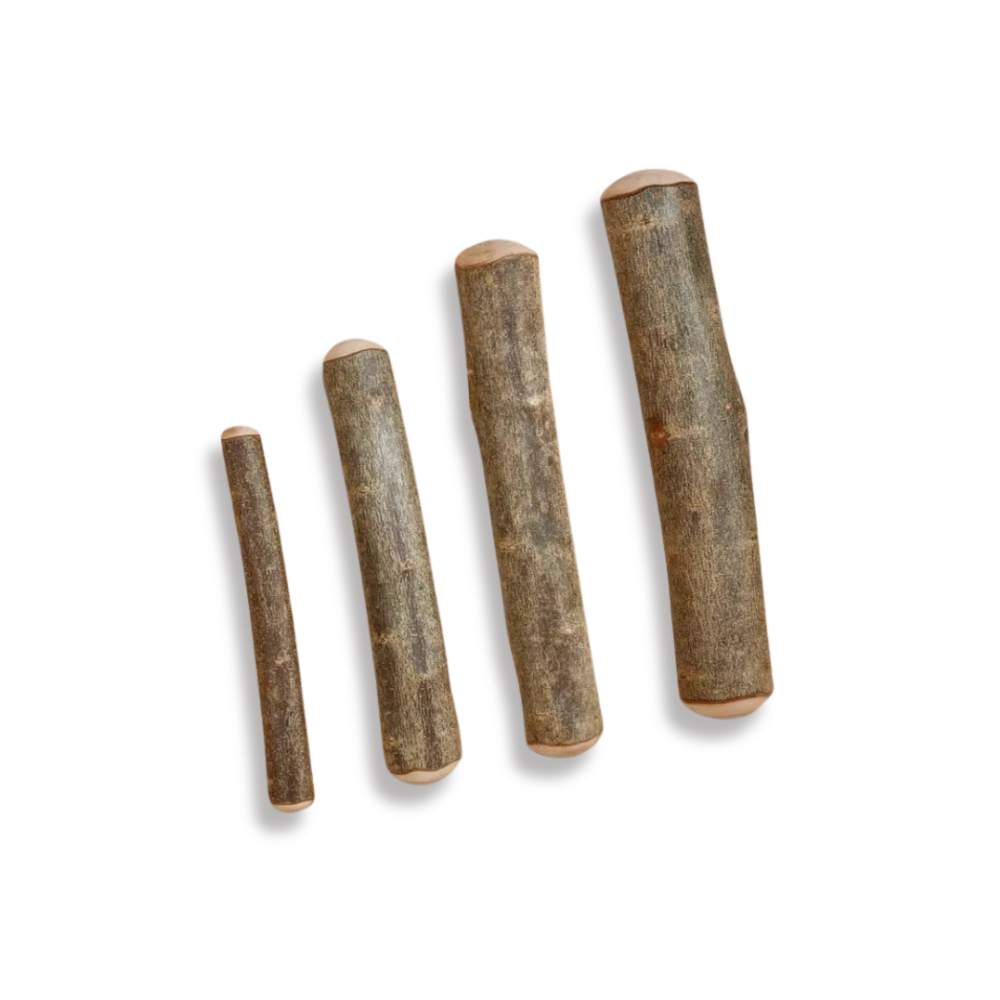 Hundekaustab aus Olivenholz - Canophera