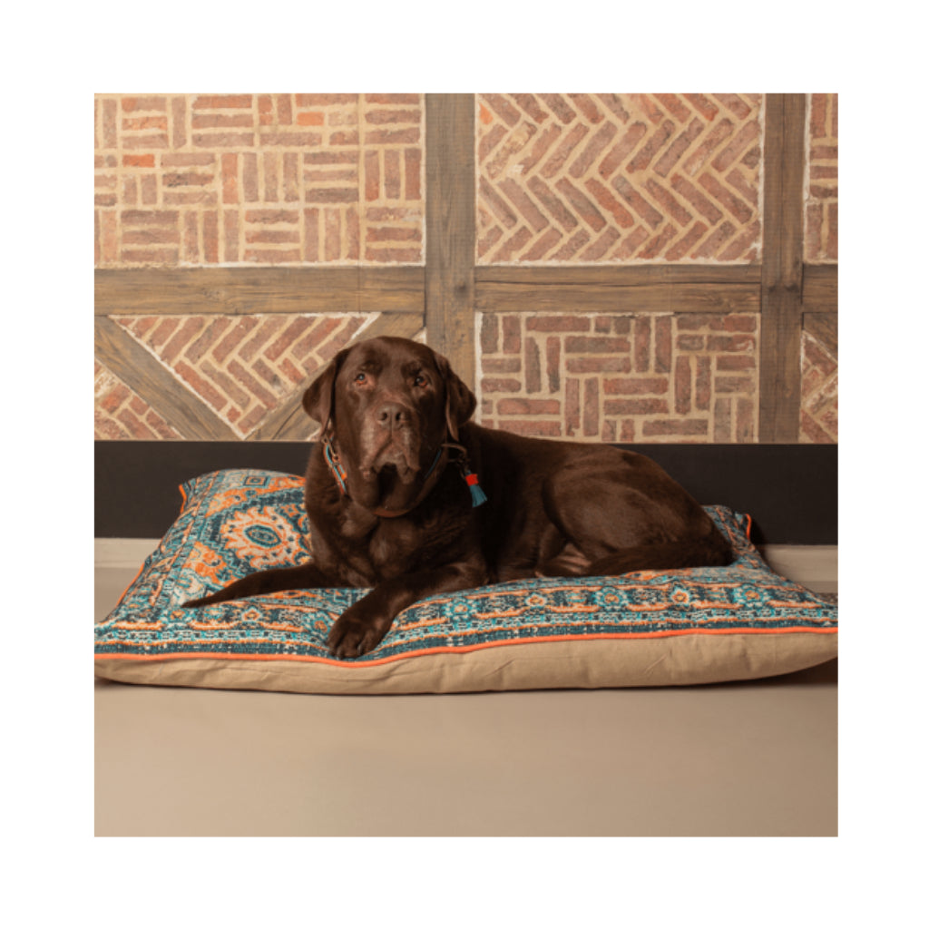 Hund auf Hundekissen Flying Carpet - Dog With A Mission - DWAM