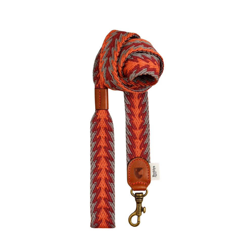 Hundeleine Peruvian Arrow ORANGE 120 cm - Buddys Dogwear