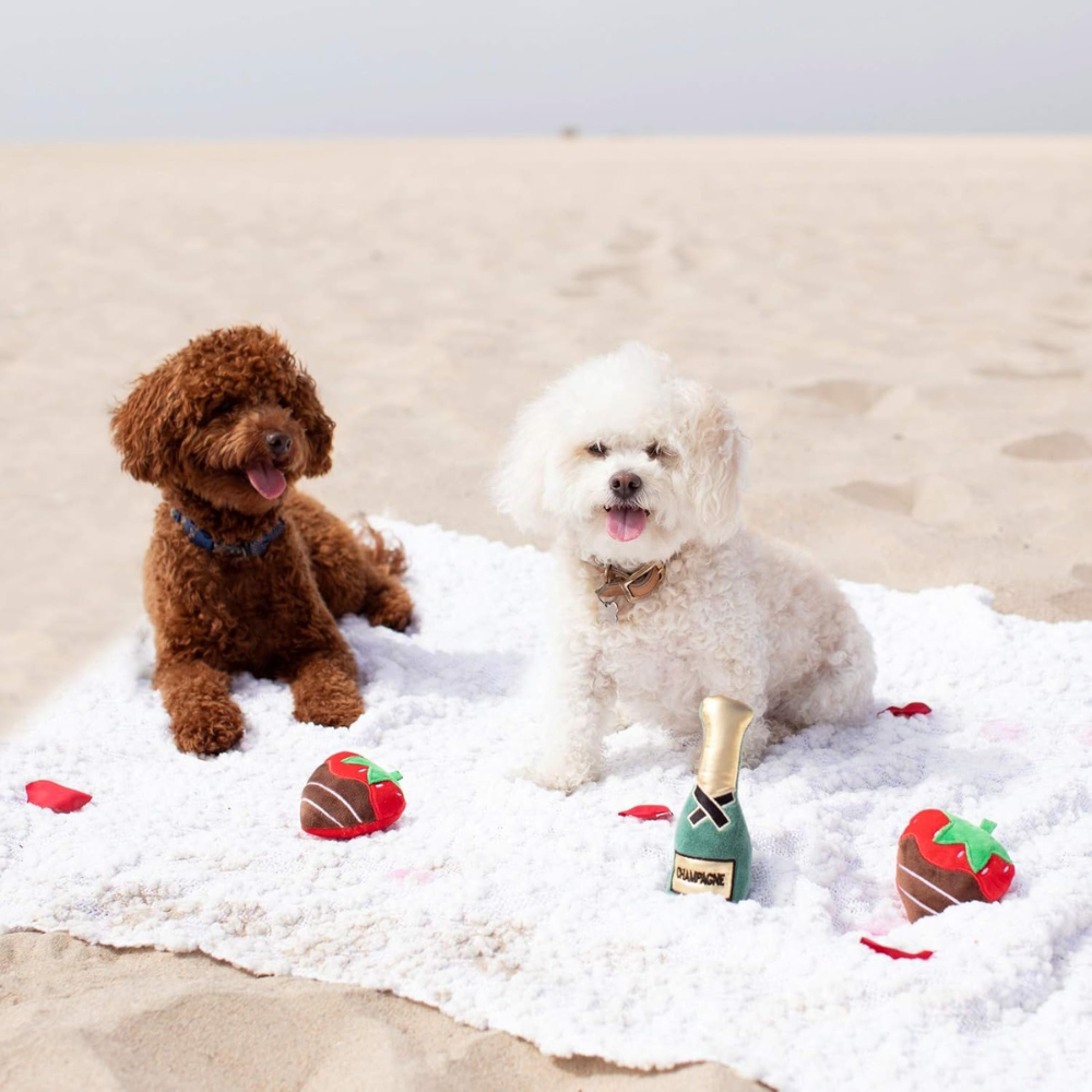 Hunde mit Hundespielzeug Champagne Strawberry Set - Petshop by Fringe Studio