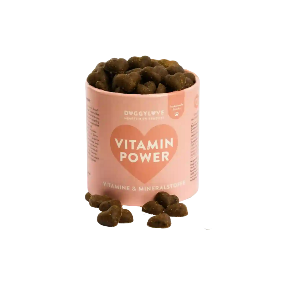 Funktionaler Hundesnack VITAMIN POWER Vitamine & Mineralstoffe - doggylove