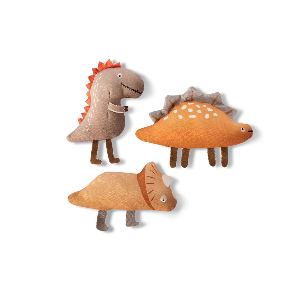Hundespielzeug Set We came, we saur I Earth Friendly - Petshop by Fringe Studio