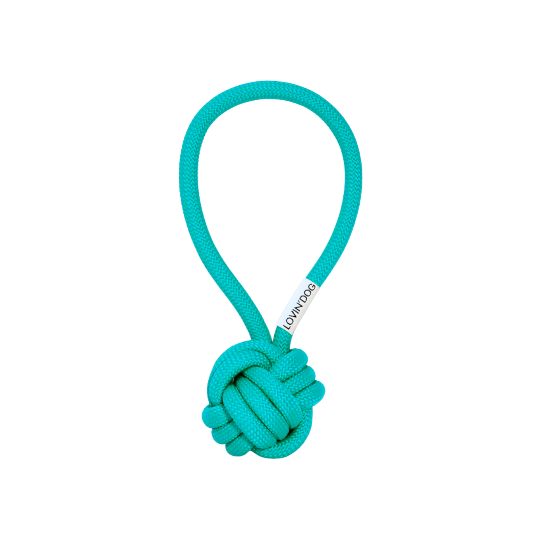 Hundespielzeug Schleuderball LIO Electric Blue - LOVIN'DOG