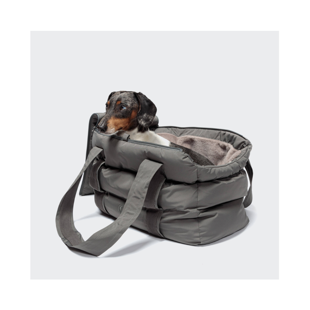Hund in Cloud7 Hundetasche Montreal Anthrazit