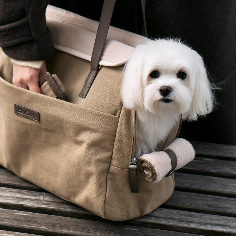 Hund in MiaCara Hundetragetasche TASCA Sand